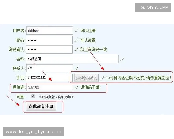 多米体育注册平台注册步骤详解及账号激活的完整流程